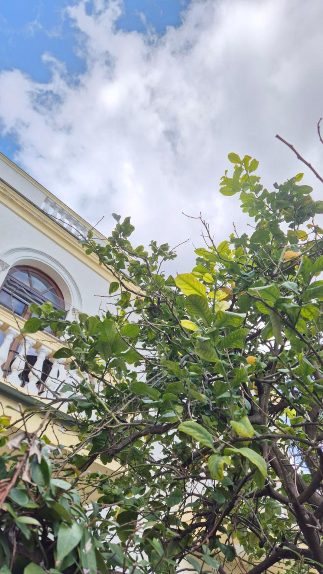 Relais Villa Montedonzelli Napoli Eksteriør billede